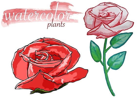 EPS 해외이미지 꽃 백그라운드 꽃무늬 일러스트 수채화 사람없음 빨간색 장미 축제 발표 어머니의날 해외202004 해외202105 해외일러스트 식물 기념일 컬러 무늬 미국문화 파일형식 벡터