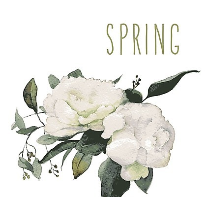 EPS 해외이미지 꽃 줄기 잎 일러스트 수채화 사람없음 해외202004 해외202105 해외일러스트 식물 파일형식 벡터