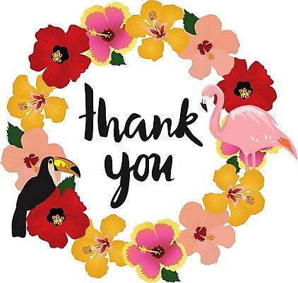 EPS 해외이미지 나무 꽃잎 꽃 꽃무늬 일러스트 휴식 수채화 프레임 손바닥 사람없음 빨간색 컬러풀 장미 노란색 향기 발리 향 하와이인 히비스커스 해외202004 해외202105 해외일러스트 외국인 식물 손 컬러 섬 컨셉 무늬 냄새 인도네시아 파일형식 벡터