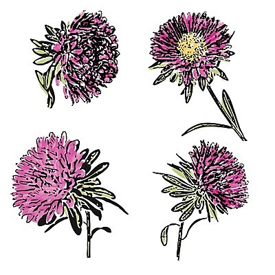 EPS 해외이미지 꽃잎 꽃 백그라운드 잎 꽃무늬 일러스트 수채화 사람없음 컬러풀 들꽃 수집 해외202004 해외202105 해외일러스트 식물 컬러 무늬 파일형식 벡터