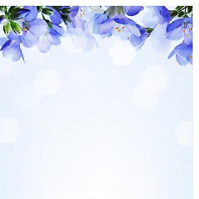 EPS 해외이미지 꽃 패턴 일러스트 수채화 프레임 사람없음 해외202004 해외202105 해외일러스트 식물 무늬 파일형식 벡터