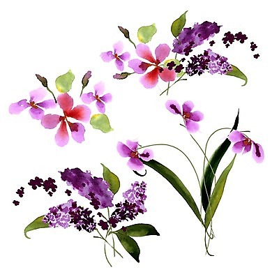 EPS 해외이미지 줄기 잎 일러스트 수채화 사람없음 라일락 해외202004 해외202105 해외일러스트 식물 꽃 파일형식 벡터
