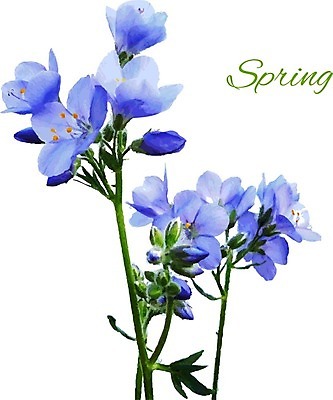 EPS 해외이미지 꽃 줄기 잎 일러스트 수채화 글자캘리그라피 사람없음 파란색 해외202004 해외202105 해외일러스트 식물 컬러 캘리그라피 파일형식 벡터