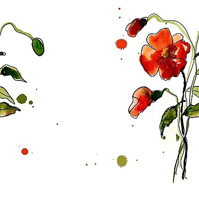 EPS 해외이미지 꽃 포스터 잎 꽃무늬 패턴 일러스트 수채화 프레임 사람없음 빨간색 컬러풀 낭만 얼룩 양귀비 해외202004 해외202105 해외일러스트 식물 컬러 컨셉 무늬 파일형식 벡터