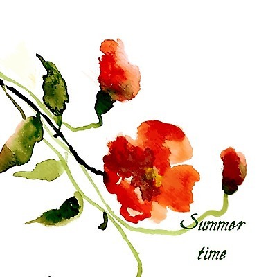 EPS 해외이미지 줄기 잎 일러스트 수채화 사람없음 꽃봉오리 양귀비 해외202004 해외202105 해외일러스트 식물 꽃 파일형식 벡터