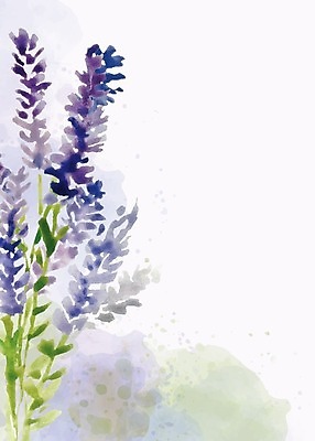 EPS 해외이미지 꽃잎 꽃 잎 꽃무늬 일러스트 수채화 프레임 사람없음 낭만 해외202004 해외202105 해외일러스트 식물 컨셉 무늬 파일형식 벡터