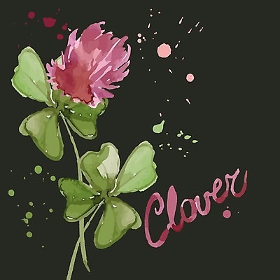 EPS 해외이미지 꽃잎 꽃 백그라운드 잎 꽃무늬 패턴 일러스트 사람없음 빨간색 들꽃 클로버 토끼풀 해외202004 해외202105 해외일러스트 식물 컬러 무늬 파일형식 벡터