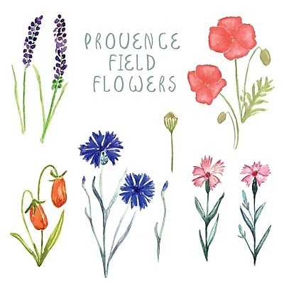 EPS 해외이미지 꽃 줄기 잎 일러스트 수채화 사람없음 다양 꽃봉오리 해외202004 해외202105 해외일러스트 식물 다수 파일형식 벡터