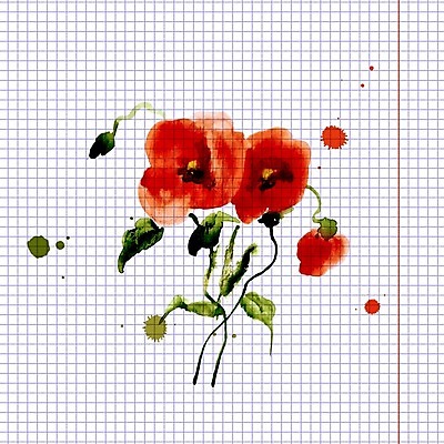 EPS 해외이미지 꽃 포스터 백그라운드 잎 꽃무늬 패턴 일러스트 수채화 사람없음 빨간색 컬러풀 낭만 얼룩 양귀비 해외202004 해외202105 해외일러스트 식물 컬러 컨셉 무늬 파일형식 벡터