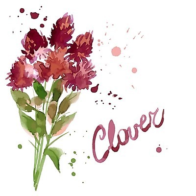 EPS 해외이미지 잎 일러스트 수채화 글자캘리그라피 사람없음 들꽃 해외202004 해외202105 해외일러스트 식물 꽃 캘리그라피 파일형식 벡터