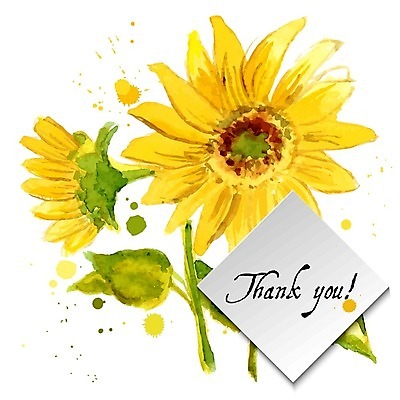 EPS 해외이미지 줄기 잎 일러스트 해바라기 수채화 프레임 글자캘리그라피 사람없음 마름모 해외202004 해외202105 해외일러스트 도형 식물 꽃 캘리그라피 파일형식 벡터