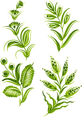 EPS 해외이미지 꽃 줄기 잎 일러스트 수채화 사람없음 해외202004 해외202105 해외일러스트 식물 파일형식 벡터