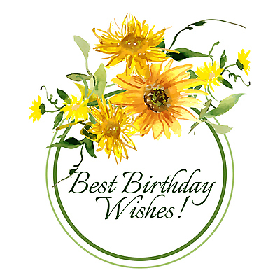 포토 JPG 해외이미지 꽃잎 꽃 잎 꽃무늬 패턴 해바라기 프레임 사람없음 컬러풀 노란색 원형 해외202004 해외202105 해외포토 도형 식물 컬러 무늬 파일형식