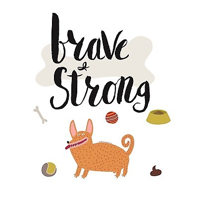 EPS 해외이미지 한마리 영어 일러스트 공 타이포그라피 글자캘리그라피 사람없음 개 강아지 애견용품 개밥그릇 개뼈다귀 개사료 레터링 개똥 해외202004 해외202105 해외일러스트 반려용품 문자 1 그릇 캘리그라피 포유류 반려동물 먹이 오브젝트 변 애견간식 파일형식 벡터