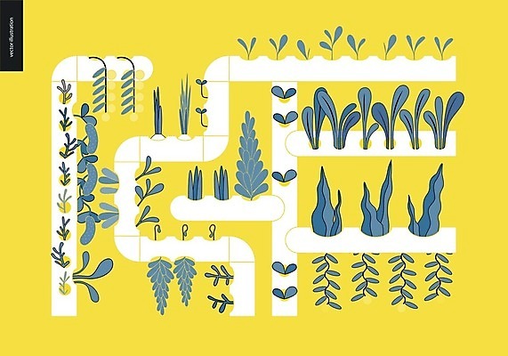 EPS 해외이미지 일러스트 사람없음 노란색 원예 수경재배 해외202004 해외202105 해외일러스트 컬러 취미 파일형식 벡터