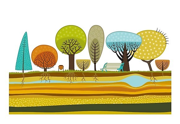 EPS 해외이미지 나무 공원 벤치 일러스트 사람없음 나무뿌리 해외202004 해외202105 해외일러스트 식물 공공시설 의자 뿌리 파일형식 벡터