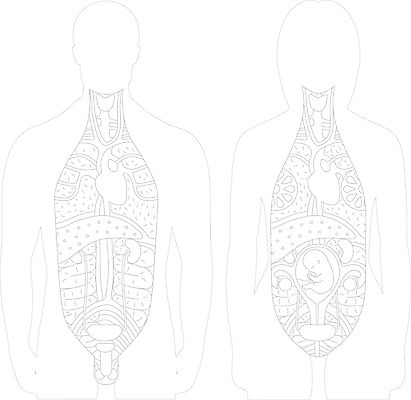 EPS 해외이미지 커플 여자 남자 과학 신체 일러스트 부분 건강 사람 성인 약 임신 하트 아기 신장 간 자궁 해외202004 해외202105 해외일러스트 모양 의학 관계 장기_의학 비뇨기관 파일형식 벡터