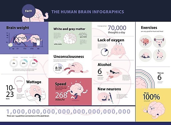 EPS 해외이미지 캐릭터 일러스트 전구 그래프 달리기 귀여움 인포그래픽 잠 두뇌 뇌 두뇌개발 해외202004 해외202105 해외일러스트 일러캐릭터 컨셉 모션 파일형식 벡터