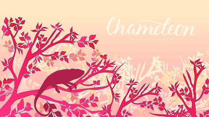 EPS 해외이미지 식물 동물 행복 야생동물 꽃무늬 일러스트 파충류 아프리카 동물원 양서류 사람없음 야외 반려동물 일출 공룡 도마뱀 육식동물 동물상 마다가스카르 카멜레온 해외202004 해외202105 해외일러스트 꽃 감정 나라 무늬 조형물 노을 파일형식 벡터