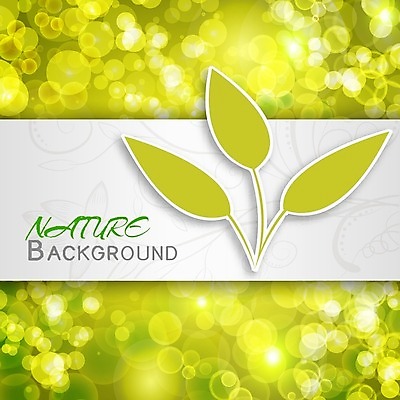 EPS 해외이미지 식물 줄기 일러스트 모바일 프레임 사람없음 세트 환경 나뭇가지 소셜 엘리먼트 월계수 해외202004 해외202105 해외일러스트 나무 파일형식 벡터