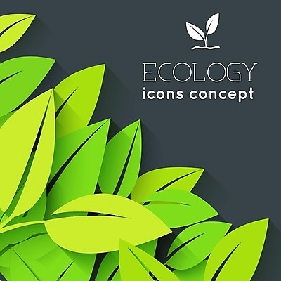 EPS 해외이미지 잎 일러스트 사람없음 연두색 새싹 환경 친환경 해외202004 해외202105 해외일러스트 식물 초록색 파일형식 벡터