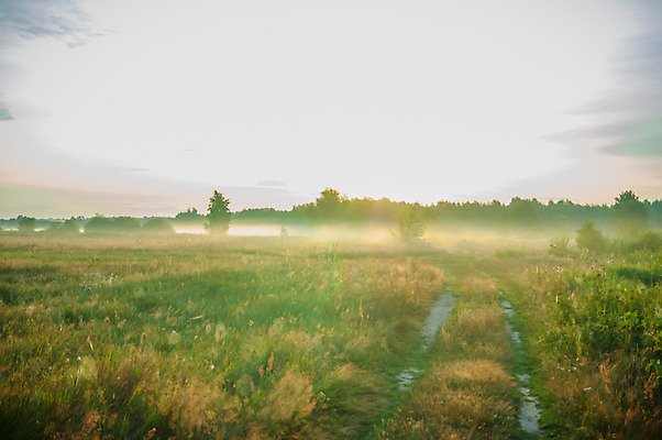 포토 JPG 해외이미지 나무 식물 구름 공원 호수 여행 백그라운드 잎 자연 하늘 풍경 사람없음 야외 여름 강 햇빛 태양 반사 봄 가을 바위 숲 해외202004 해외202105 해외포토 자연요소 계절 공공시설 돌_바위 생태계 파일형식