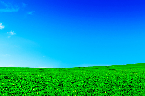 포토 JPG 해외이미지 구름 공원 백그라운드 밭 자연 하늘 풍경 잔디 초원 사람없음 야외 여름 봄 해외202004 해외202105 해외포토 자연요소 식물 계절 공공시설 농업 생태계 파일형식