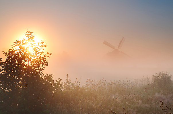 포토 JPG 해외이미지 나무 실루엣 백그라운드 밭 자연 하늘 풍경 초원 사람없음 야외 여름 햇빛 태양 일출 일몰 풍차 안개 네덜란드 해외202004 해외202105 해외포토 자연요소 식물 계절 유럽 농업 날씨 촬영기법 노을 생태계 파일형식