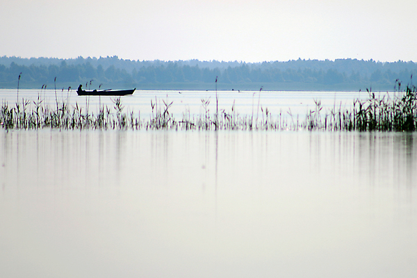 포토 JPG 해외이미지 나무 실루엣 호수 백그라운드 자연 하늘 어류 사람 풍경 취미 사람없음 야외 여름 강 반사 일출 일몰 봄 안개 잡기 보트 러시아 카누 해외202004 해외202105 해외포토 식물 계절 유럽 배_교통 모션 날씨 촬영기법 노을 수중동물 수상스포츠 생태계 파일형식