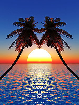 JPG 해외이미지 나무 실루엣 바다 잎 일러스트 자연 하늘 풍경 사람없음 야외 여름 태양 일몰 뜨거움 해외202004 해외202105 해외포토 포토 자연요소 식물 계절 촬영기법 노을 생태계 파일형식