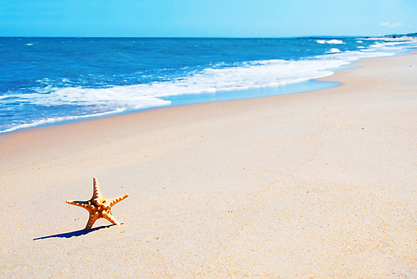 포토 JPG 해외이미지 구름 모래 바다 여행 백그라운드 자연 하늘 불가사리 풍경 사람없음 야외 여름 태양 봄 낭만 뜨거움 단절 해외202004 해외202105 해외포토 자연요소 계절 컨셉 극피동물 생태계 파일형식