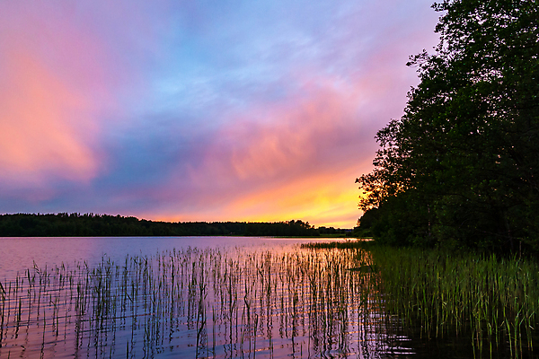 포토 JPG 해외이미지 구름 호수 분홍색 여행 백그라운드 자연 하늘 풍경 사람없음 야외 여름 강 태양 반사 일출 일몰 명상 드라마 가스 파스텔톤 해외202004 해외202105 해외포토 자연요소 계절 컬러 노을 생태계 파일형식