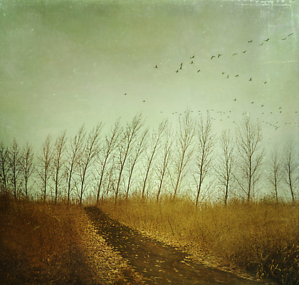 포토 JPG 해외이미지 구름 종이 도로 백그라운드 밭 자연 하늘 풍경 초원 사람없음 야외 그래픽 여름 수확 복고 해외202004 해외202105 해외포토 자연요소 계절 길 농업 교통시설 생태계 파일형식