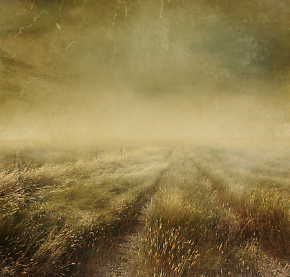 포토 JPG 해외이미지 실루엣 종이 백그라운드 밭 자연 하늘 풍경 사람없음 야외 여름 울타리 수확 안개 복고 해외202004 해외202105 해외포토 계절 농업 날씨 촬영기법 담장 생태계 파일형식