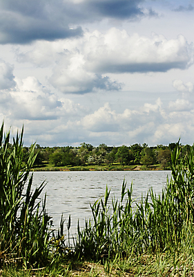 포토 JPG 해외이미지 나무 구름 호수 백그라운드 자연 하늘 풍경 사람없음 야외 여름 햇빛 반사 전원 비교 티켓 명상 해외202004 해외202105 해외포토 자연요소 식물 계절 컨셉 태양 전기에너지 생태계 파일형식
