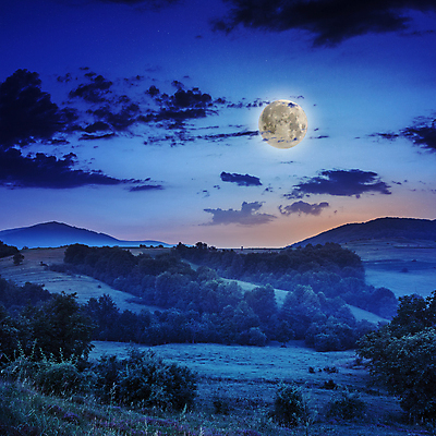 포토 JPG 해외이미지 나무 식물 구름 여행 자연 하늘 산 풍경 초원 사람없음 여름 햇빛 일출 일몰 봄 안개 달 가을 전원 야간 숲 산등성이 전나무 해외202004 해외202105 해외포토 자연요소 계절 날씨 태양 노을 전기에너지 생태계 파일형식