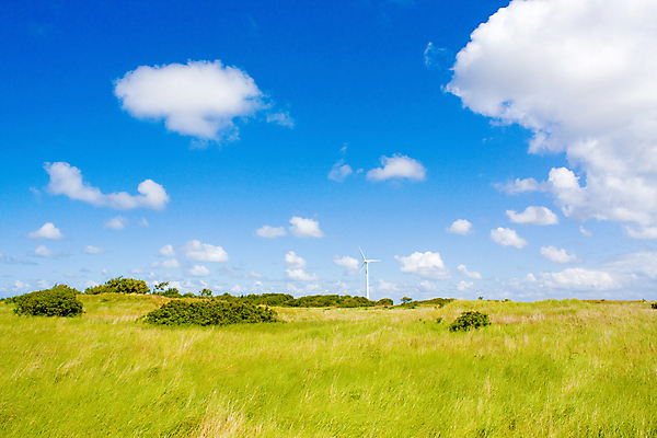 포토 JPG 해외이미지 주간 구름 자연 하늘 풍경 잔디 사람없음 야외 여름 봄 풍력에너지 해외202004 해외202105 해외포토 자연요소 식물 계절 그린에너지 생태계 파일형식