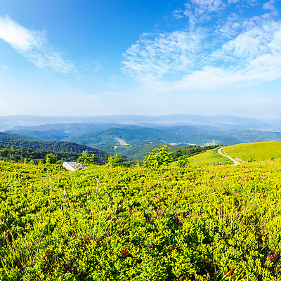 포토 JPG 해외이미지 주간 구름 자연 하늘 산 풍경 사람없음 야외 여름 맑음 해외202004 해외202105 해외포토 자연요소 계절 날씨 생태계 파일형식
