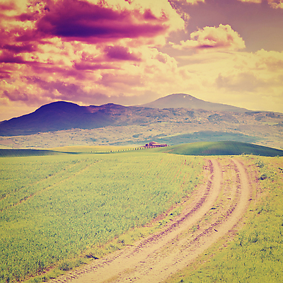 포토 JPG 해외이미지 나무 식물 구름 유럽 도로 밭 자연 하늘 산 풍경 초원 사람없음 여름 햇빛 일출 일몰 봄 밀 포도밭 토스카나 사이프러스 효과 해외202004 해외202105 해외포토 자연요소 계절 나라 길 농업 교통시설 곡류 태양 노을 이탈리아 생태계 파일형식