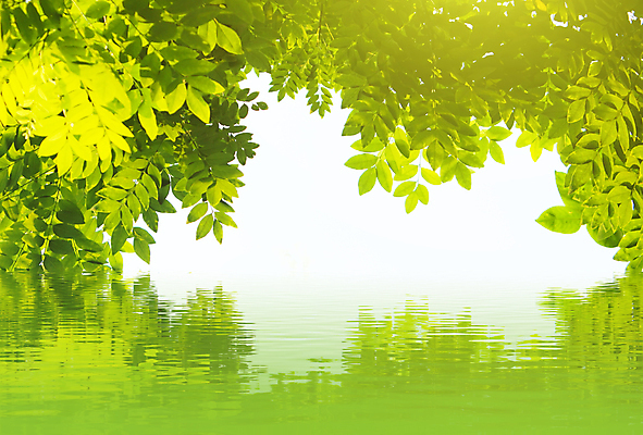 포토 JPG 해외이미지 식물 호수 물결 백그라운드 잎 밭 자연 건강 풍경 잔디 초원 사람없음 야외 여름 강 햇빛 화목 봄 물방울 전원 빗방울 해외202004 해외202105 해외포토 계절 컨셉 농업 태양 비_날씨 전기에너지 생태계 파일형식