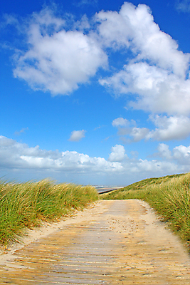 포토 JPG 해외이미지 구름 유럽 모래 바다 섬 여행 자연 하늘 풍경 초원 사람없음 야외 여름 모래사장 봄 모래언덕 네덜란드 해외202004 해외202105 해외포토 자연요소 계절 나라 언덕 생태계 파일형식