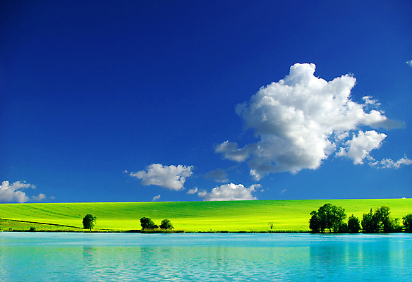 포토 JPG 해외이미지 주간 나무 구름 호수 하늘 풍경 초원 사람없음 야외 해외202004 해외202105 해외포토 자연요소 식물 파일형식