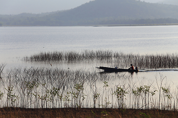 포토 JPG 해외이미지 실루엣 아들 호수 가족 자연 풍경 취미 사람없음 야외 여름 강 반사 일몰 캠핑 보트 아빠 승차 어부 주말 모터 해외202004 해외202105 해외포토 직업 계절 배_교통 관계 모션 레저 촬영기법 노을 생태계 파일형식