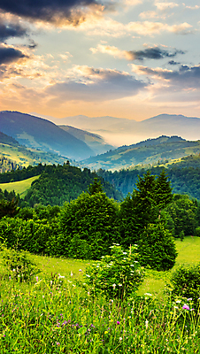 포토 JPG 해외이미지 주간 나무 구름 자연 하늘 산 풍경 사람없음 야외 풀 해외202004 해외202105 해외포토 자연요소 식물 생태계 파일형식