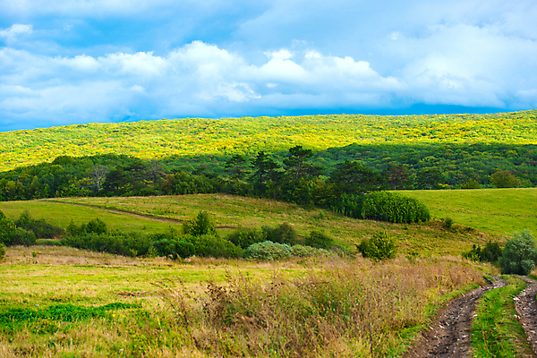 포토 JPG 해외이미지 주간 구름 자연 하늘 풍경 잔디 사람없음 야외 여름 풀 언덕 해외202004 해외202105 해외포토 자연요소 식물 계절 생태계 파일형식
