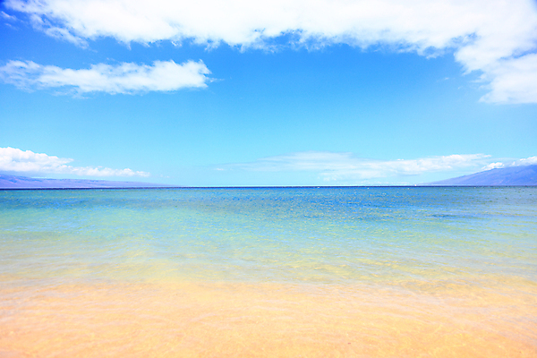 포토 JPG 해외이미지 주간 구름 바다 자연 하늘 풍경 해변 사람없음 야외 여름 맑음 휴양지 하와이 해외202004 해외202105 해외포토 자연요소 계절 날씨 미국 장소 생태계 파일형식