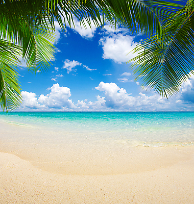 포토 JPG 해외이미지 주간 구름 바다 자연 하늘 풍경 사람없음 야외 여름 휴양지 야자수잎 해외202004 해외202105 해외포토 자연요소 계절 잎 장소 생태계 파일형식