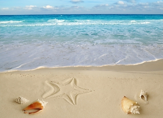 포토 JPG 해외이미지 주간 별 모래 자연 하늘 풍경 해변 사람없음 야외 여름 소라 휴양지 해외202004 해외202105 해외포토 자연요소 계절 바다 어패류 장소 생태계 파일형식