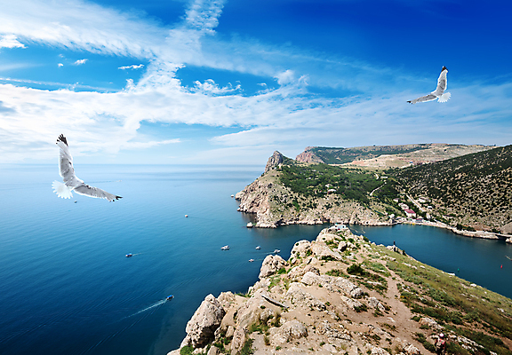 포토 JPG 해외이미지 주간 구름 바다 섬 두마리 자연 갈매기 하늘 풍경 사람없음 야외 비행 휴양지 해외202004 해외202105 해외포토 자연요소 2 조류 장소 생태계 파일형식
