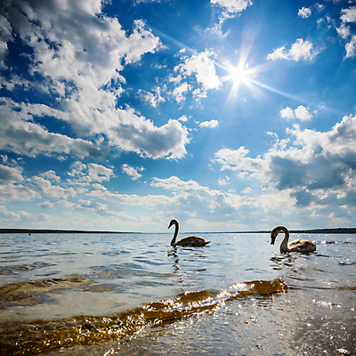 포토 JPG 해외이미지 나무 식물 구름 공원 실루엣 여행 백그라운드 밭 자연 하늘 따뜻함 풍경 사람없음 야외 여름 햇빛 태양 일출 일몰 숲 해외202004 해외202105 해외포토 자연요소 계절 공공시설 농업 촬영기법 노을 생태계 파일형식